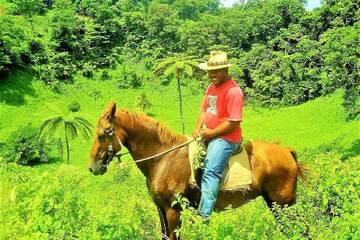 Horseback riding