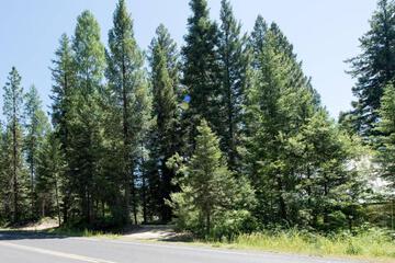 Photo 50