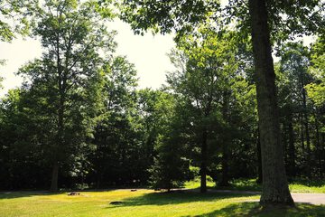 Land view from property