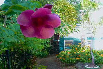 Photo 28