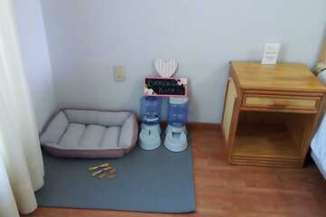 Pet-friendly amenities