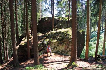 Photo 48