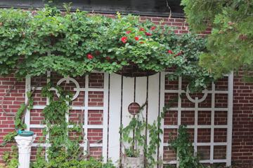 Property Grounds 85 of 88