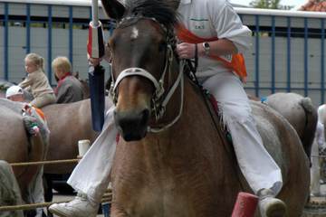 Horseback riding