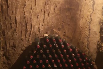 Winery