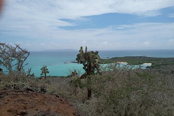Hiking