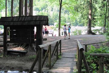 Photo 44