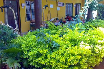 Photo 20