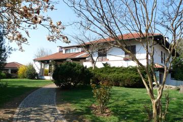 Photo 40
