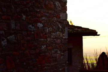 Photo 51