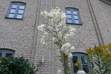 Photo 61