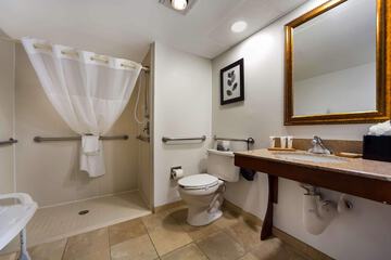 Accessible bathroom