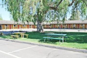 BBQ or Picnic Area
