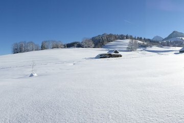Snowshoeing