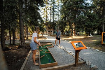 Mini-golf