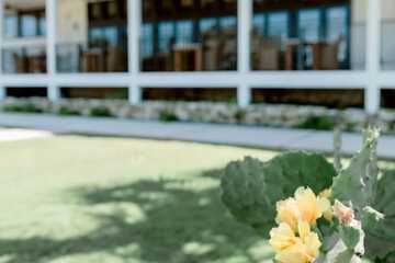 Outdoor wedding area