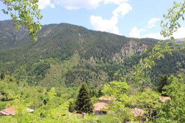 Photo 48