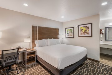 Rodeway Inn