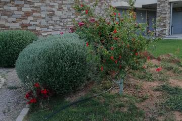 Photo 61
