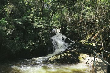 Hiking