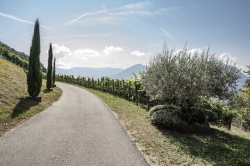 Winery
