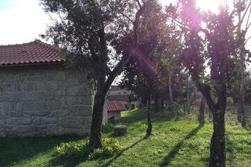 Photo 63