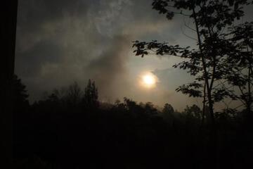 Photo 56