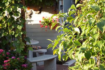 Photo 16