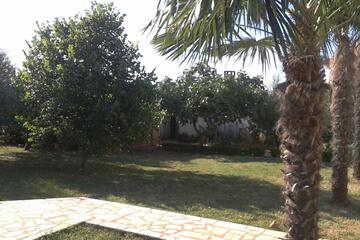 Photo 49