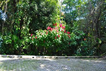 Photo 30