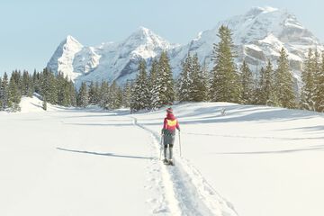 Snowshoeing