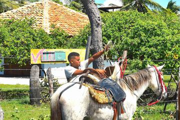 Horseback riding