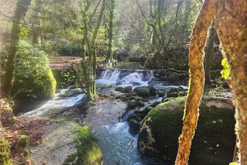 Natural pool