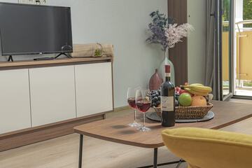 Television