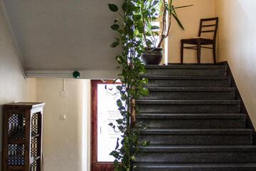 Photo 53