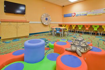 Children's play area - indoor