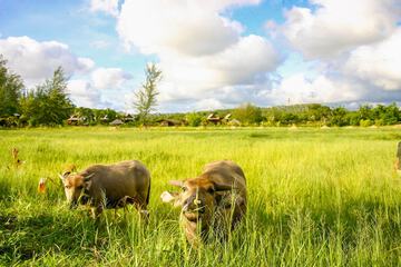Ecotours