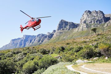 Helicopter/plane tours