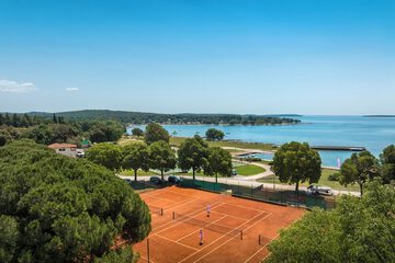 Tennis court