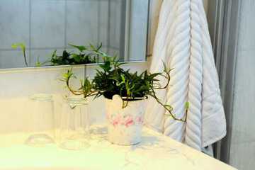 Bathroom amenities