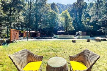 Outdoor wedding area