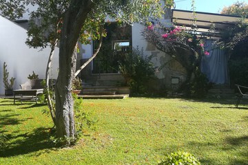 Photo 24