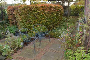 Photo 23