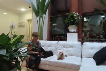 Pet-friendly