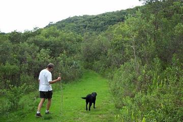 Hiking