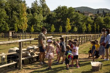 Children's activities