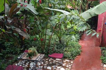Photo 25