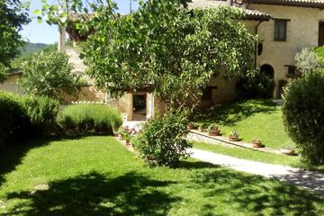 Photo 53