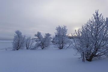 Photo 34