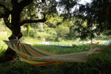 Sundeck